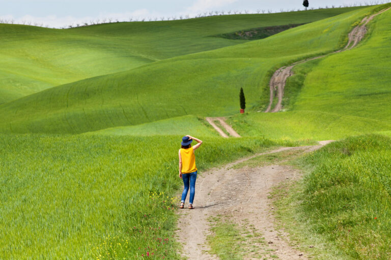 shutterstock_1090970027