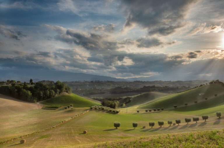 alessio-zappatore-cM0LF7Mvb_0-unsplash