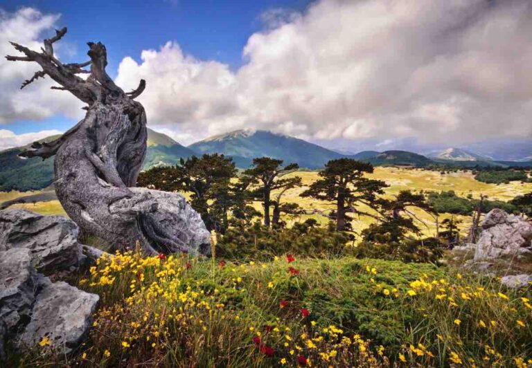 foto-apertura-parco-del-Pollino_credito-Antonio-De-Stefano